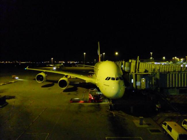 DSCF9688 (Medium).JPG